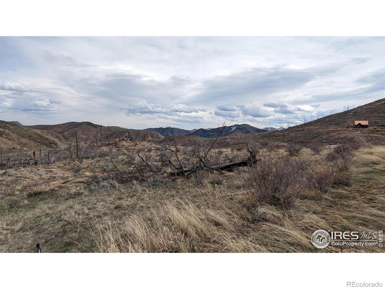 1360 Meadow Mountain Drive Livermore CO 80536