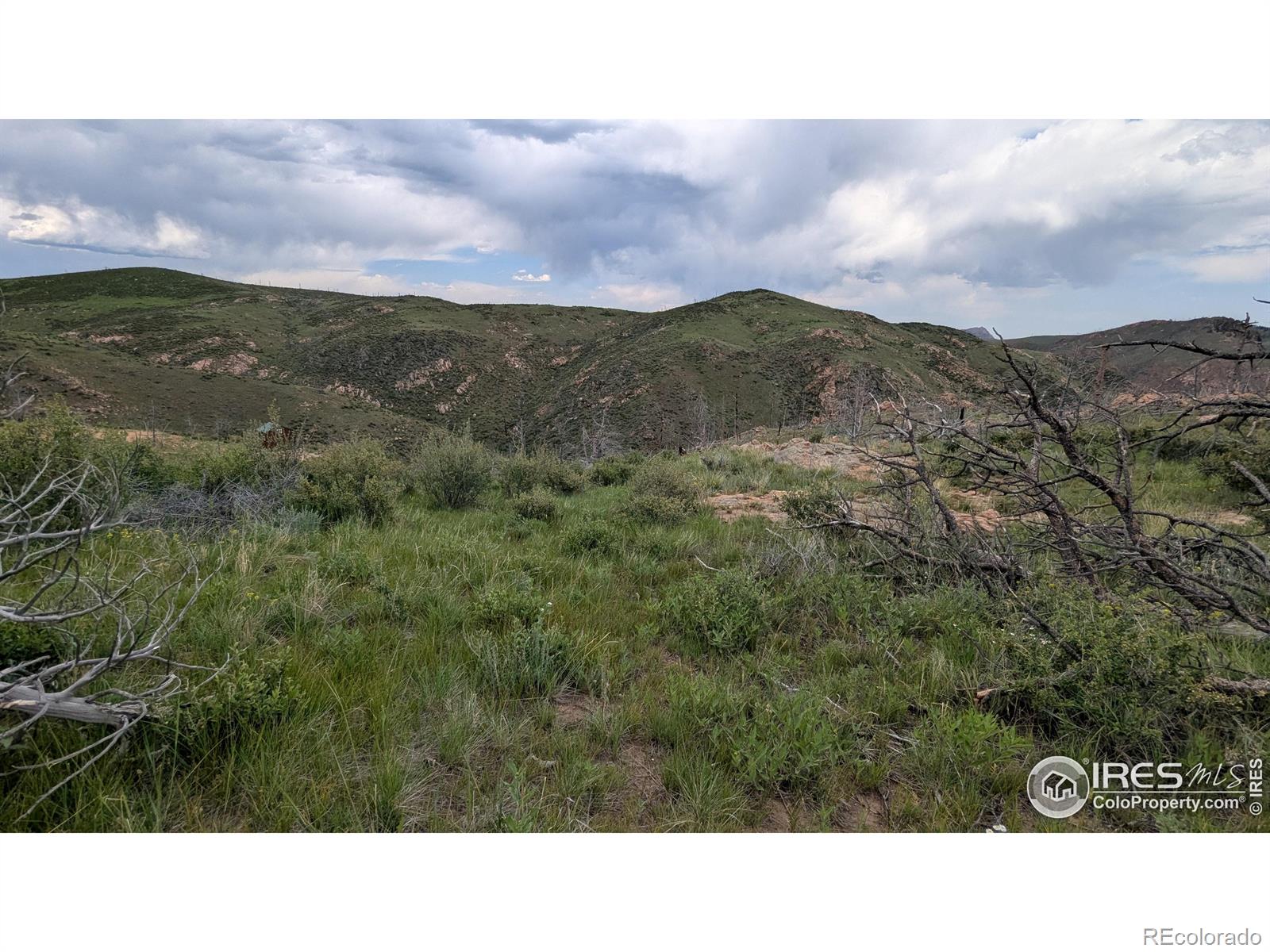 1360 Meadow Mountain Drive Livermore CO 80536