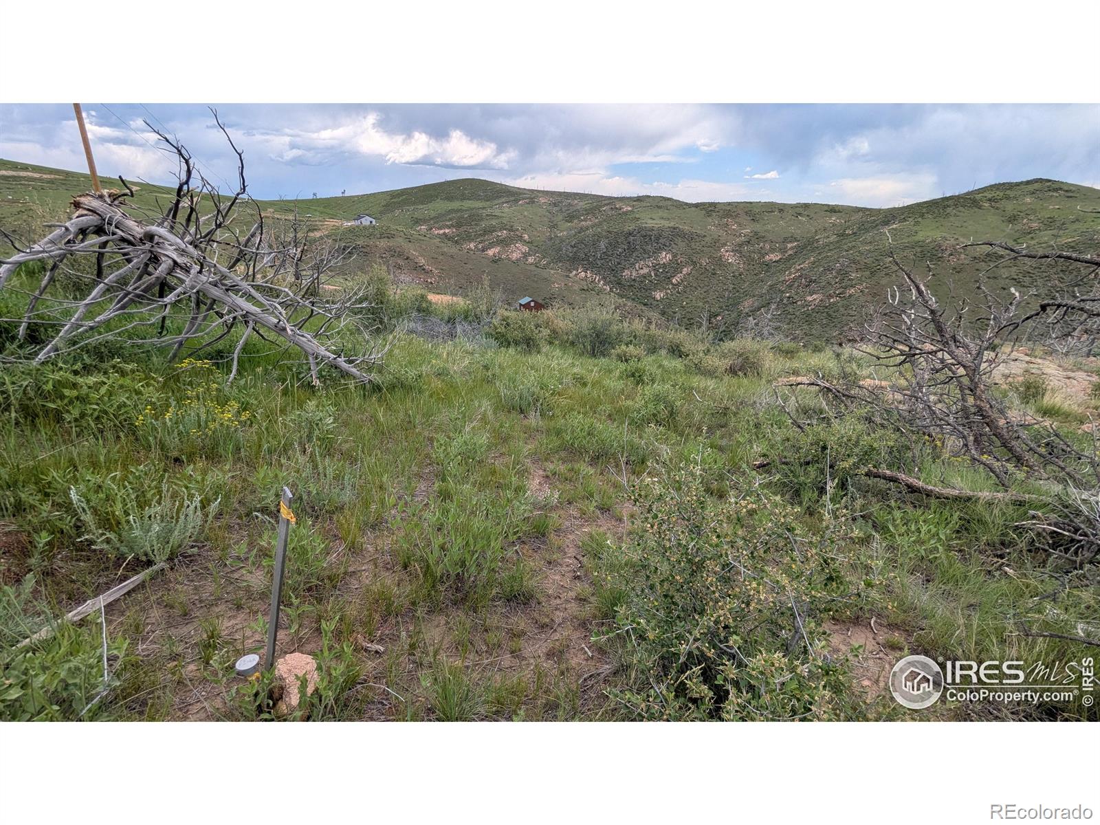 1360 Meadow Mountain Drive Livermore CO 80536