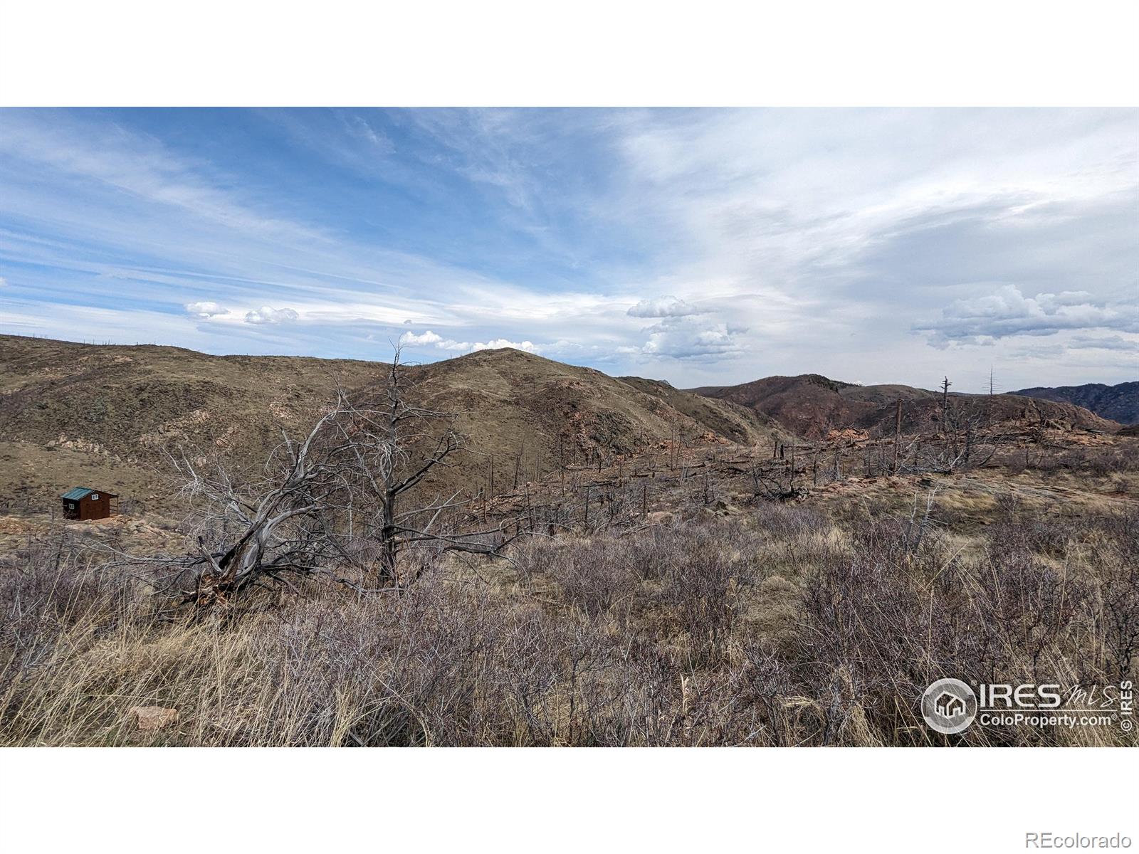 1360 Meadow Mountain Drive Livermore CO 80536