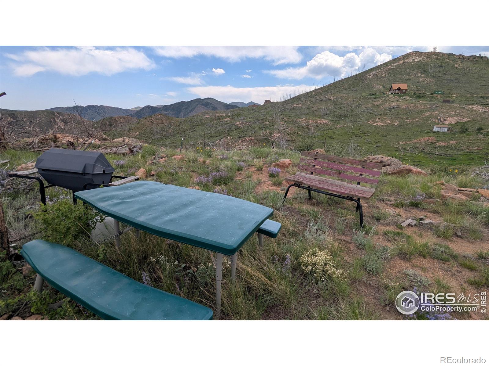 1360 Meadow Mountain Drive Livermore CO 80536