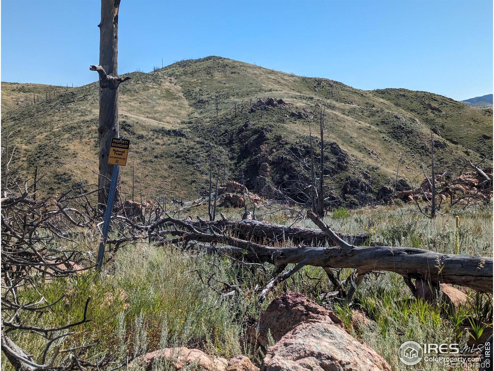 1360 Meadow Mountain Drive Livermore CO 80536