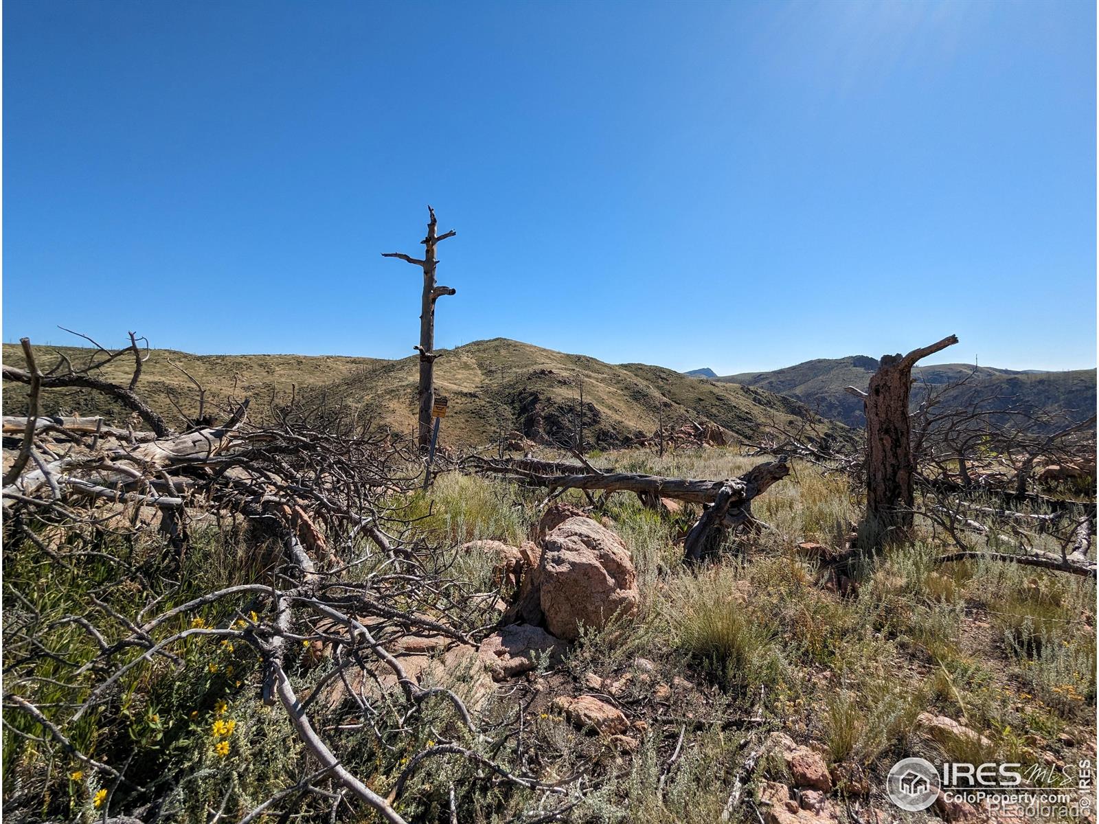 1360 Meadow Mountain Drive Livermore CO 80536