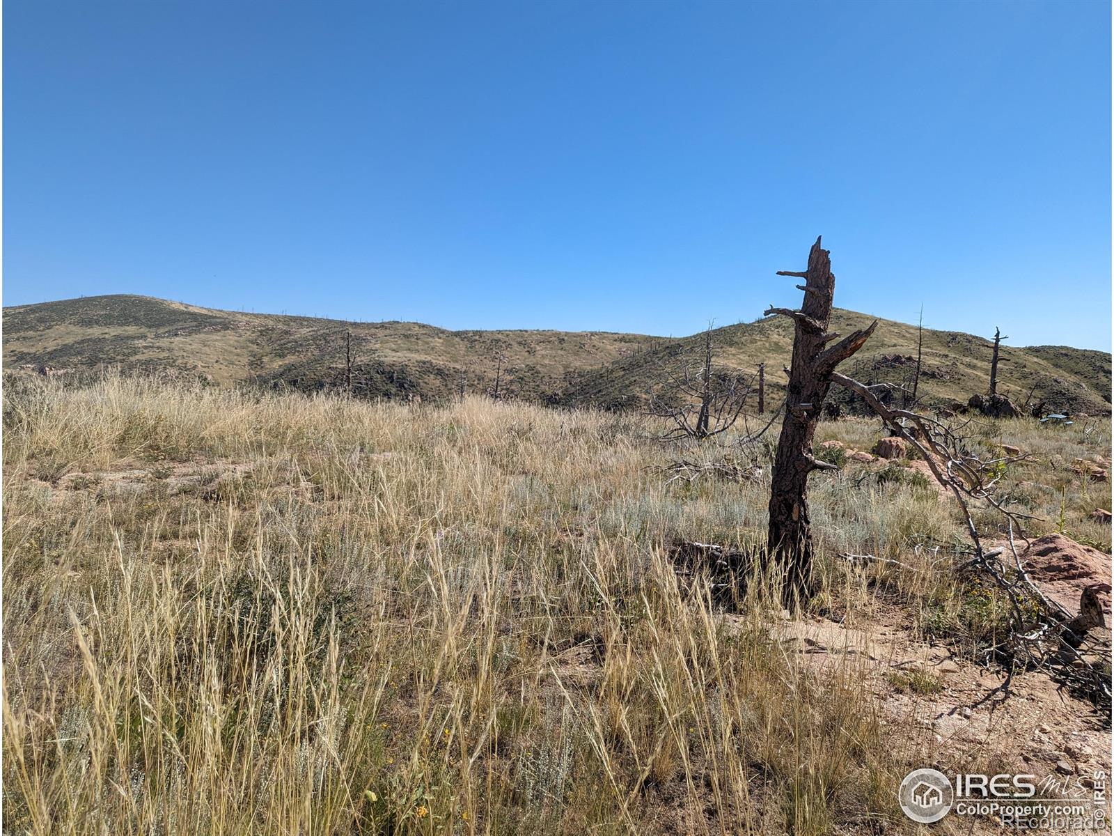1360 Meadow Mountain Drive Livermore CO 80536