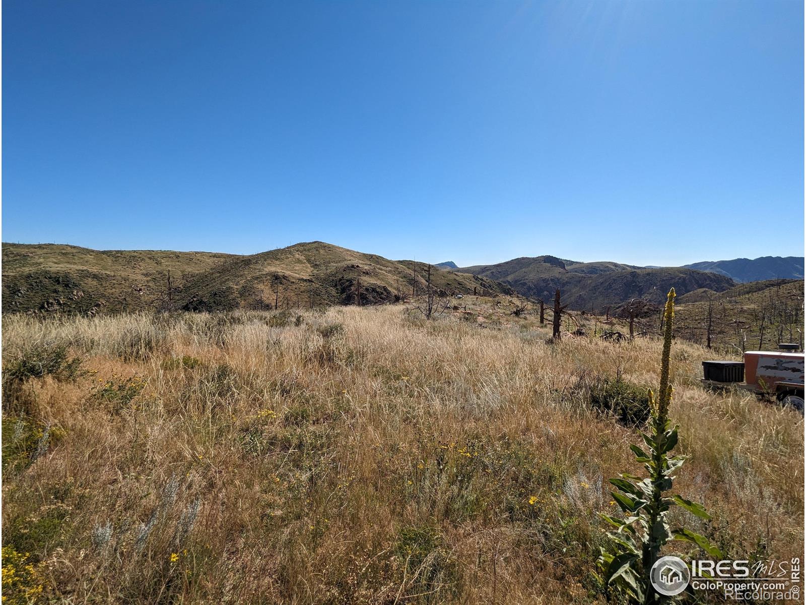 1360 Meadow Mountain Drive Livermore CO 80536