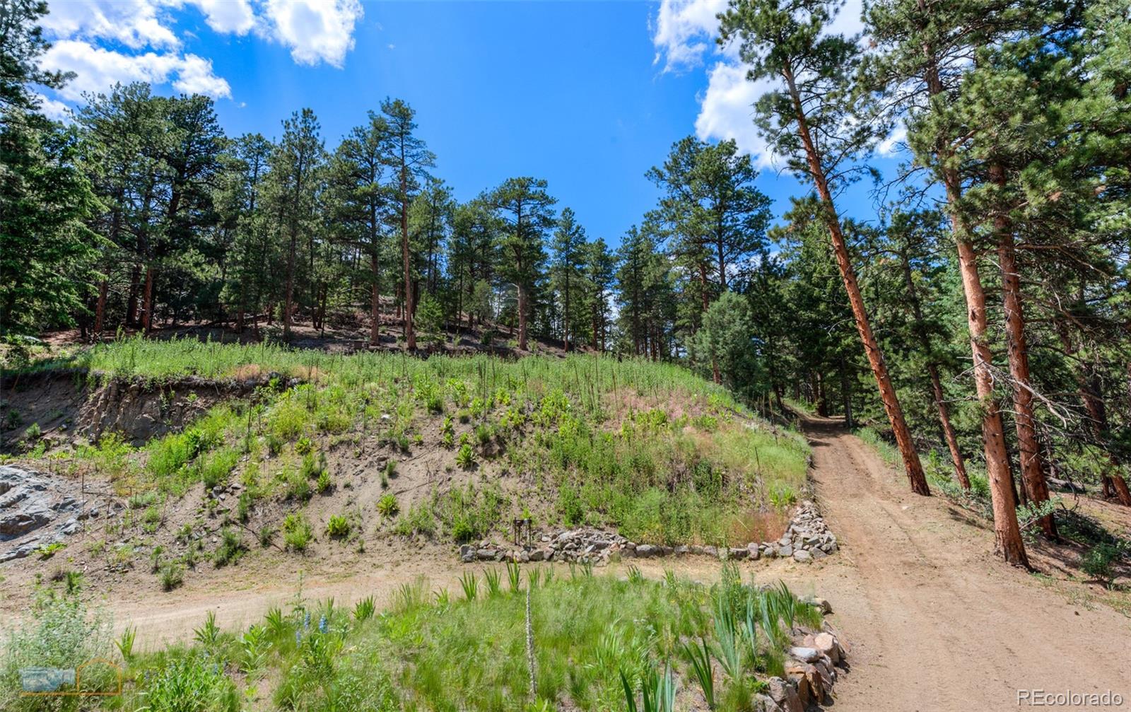 3819 James Canyon Drive Jamestown CO 80455
