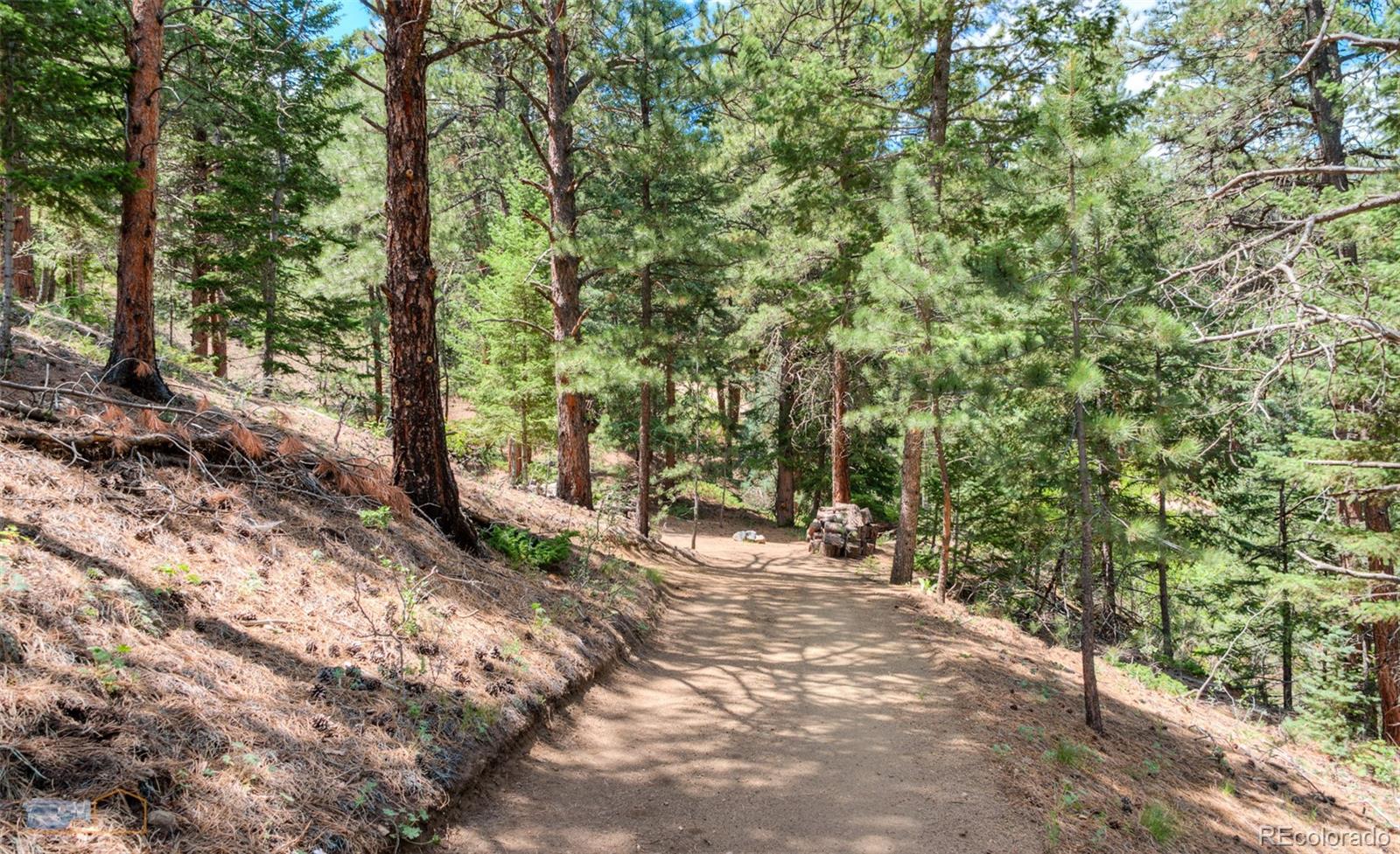 3819 James Canyon Drive Jamestown CO 80455