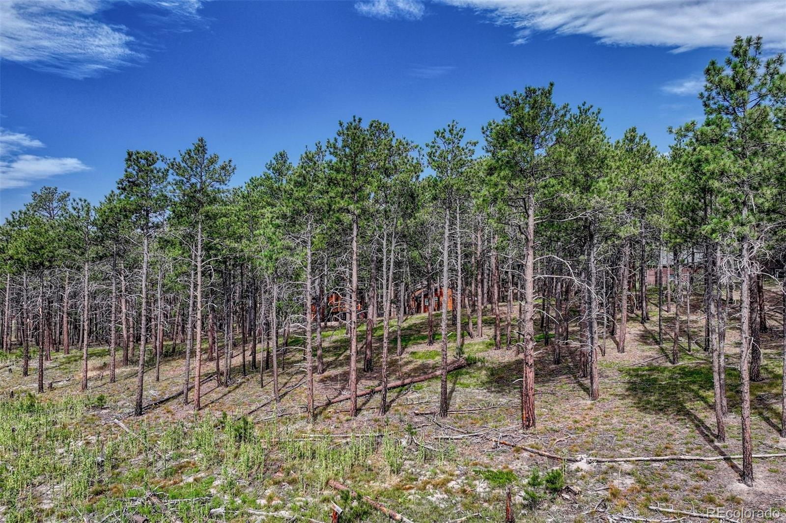 02 Wyandott Drive Colorado Springs CO 80908