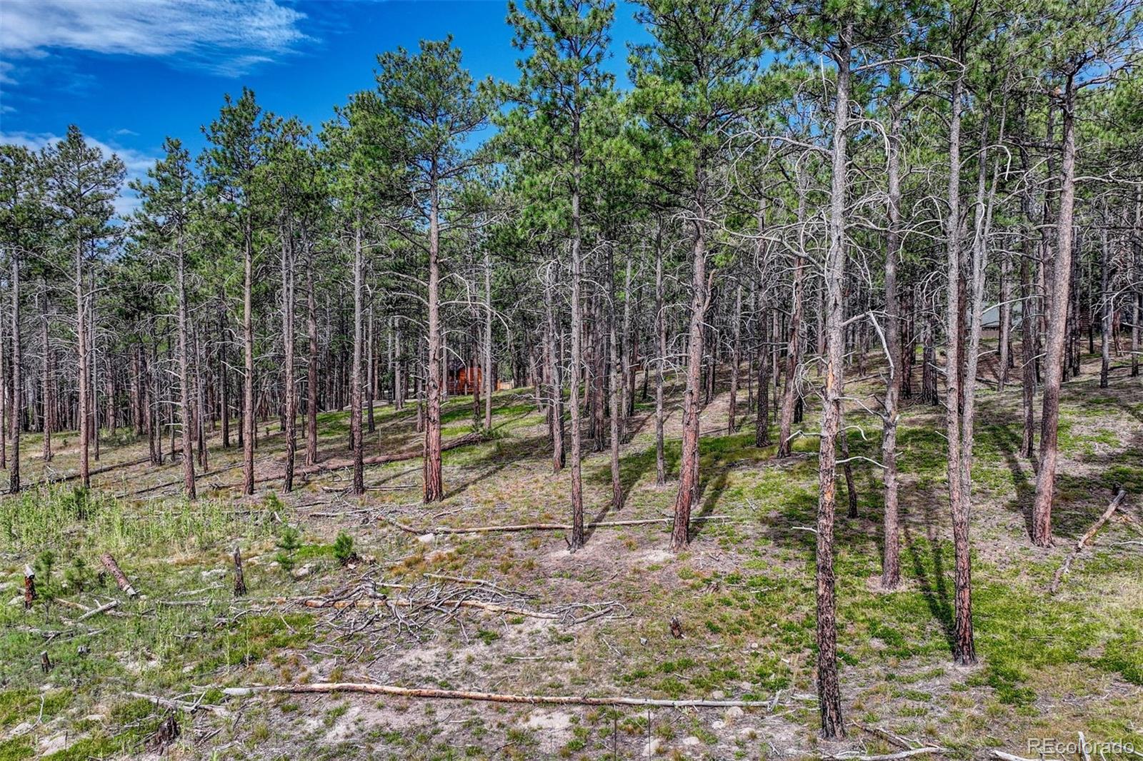02 Wyandott Drive Colorado Springs CO 80908