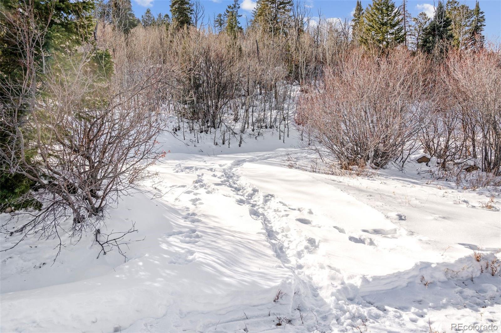Lot 4 Bear Lane Glenwood Springs CO 81601