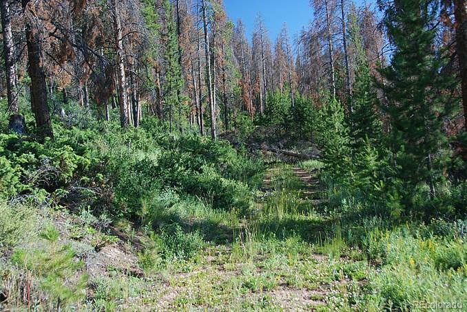 58 GCR 6325 Granby CO 80446