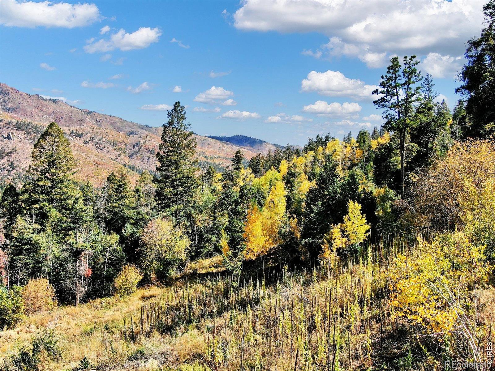 5260 Kulsa Road Cascade CO 80809