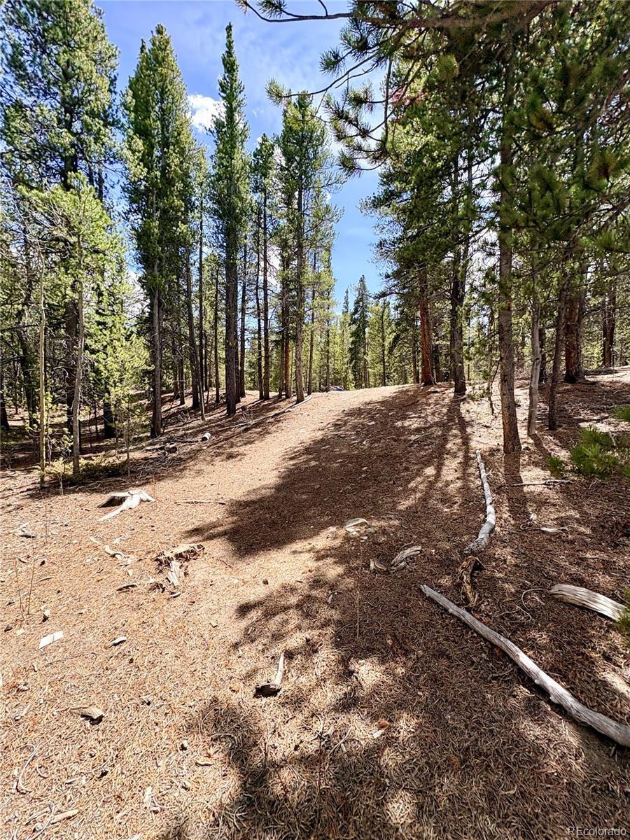 0 Georges Way Alma CO 80420