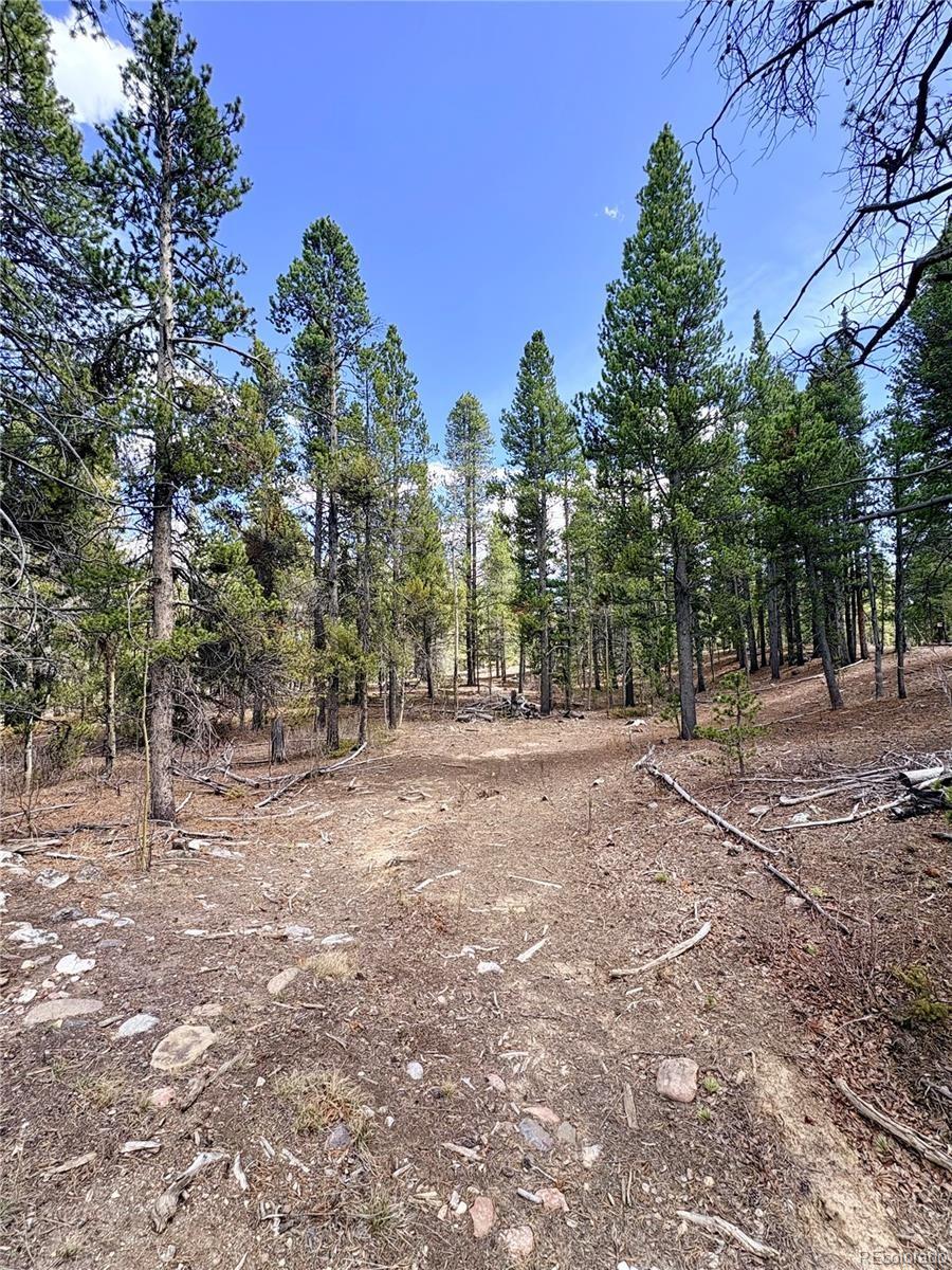 0 Georges Way Alma CO 80420