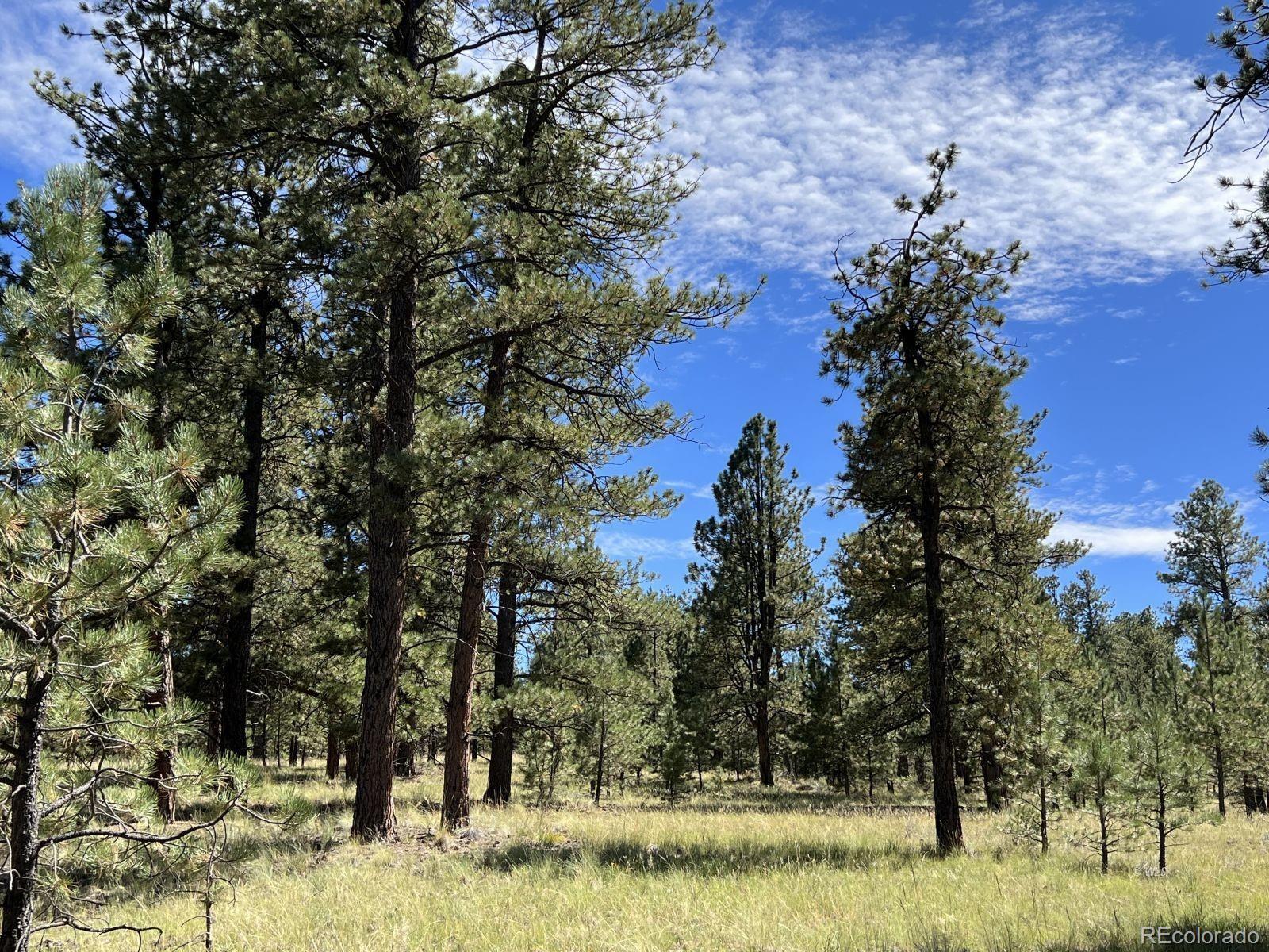 82 Kiowa Circle Westcliffe CO 81252