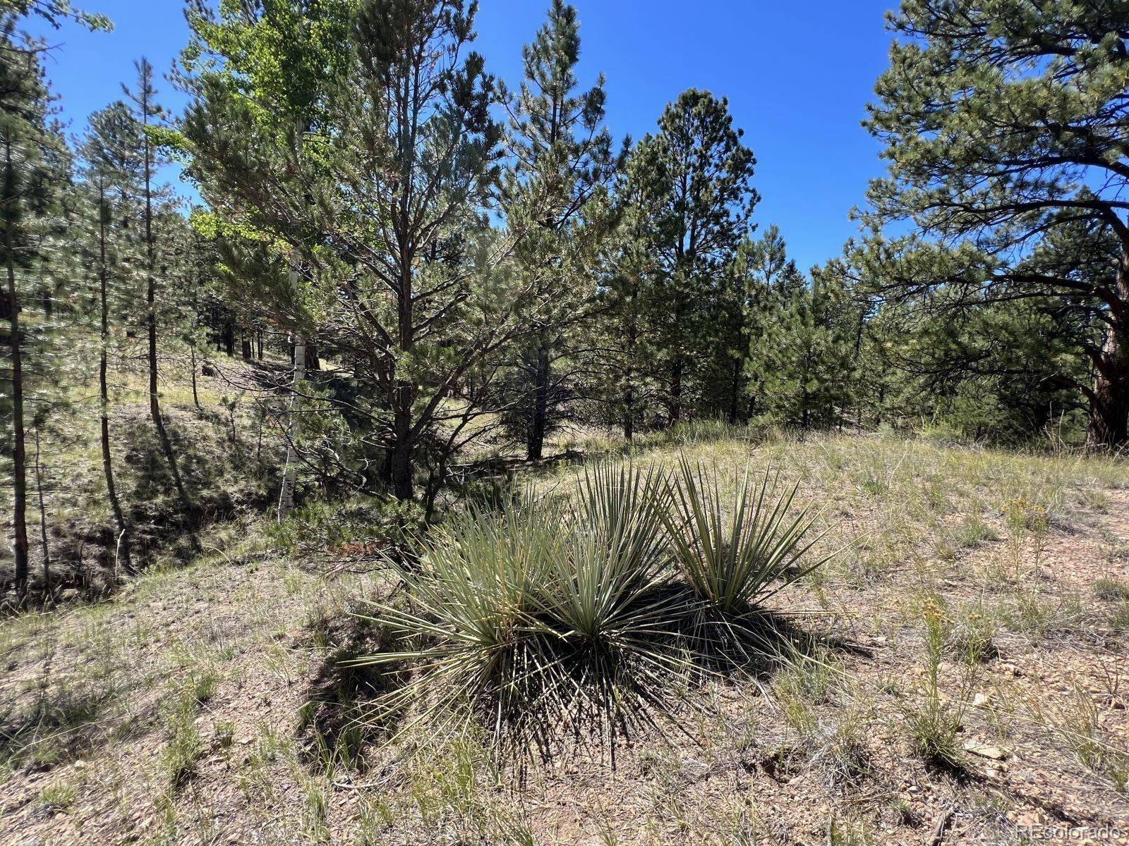 82 Kiowa Circle Westcliffe CO 81252