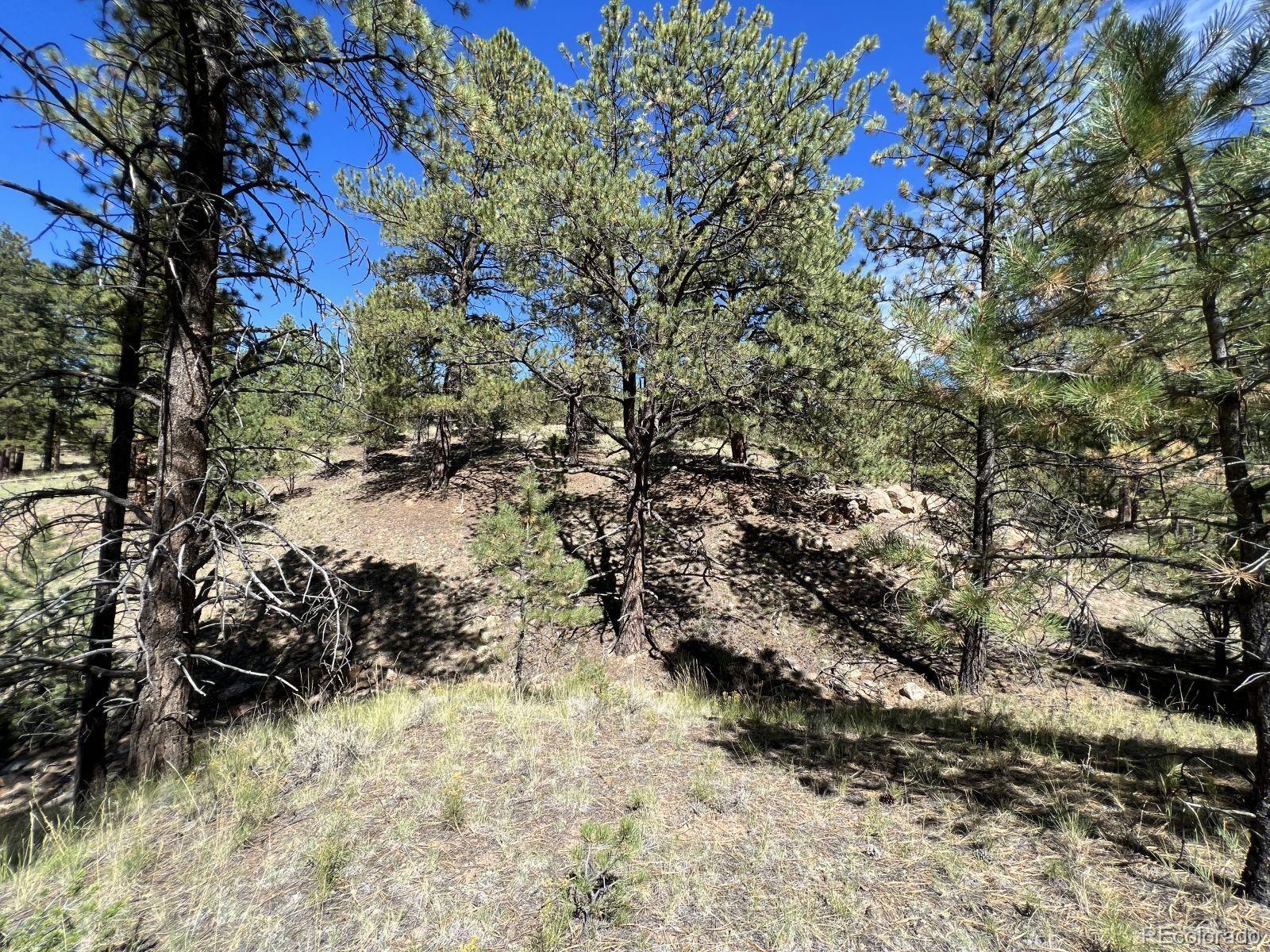 82 Kiowa Circle Westcliffe CO 81252