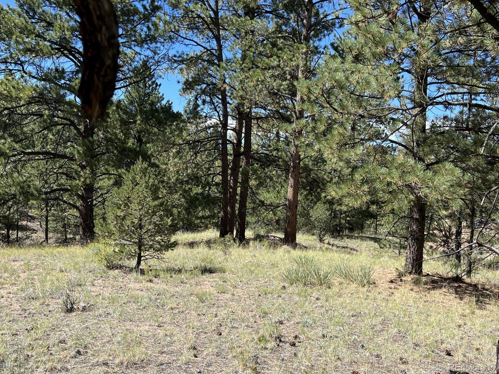 82 Kiowa Circle Westcliffe CO 81252
