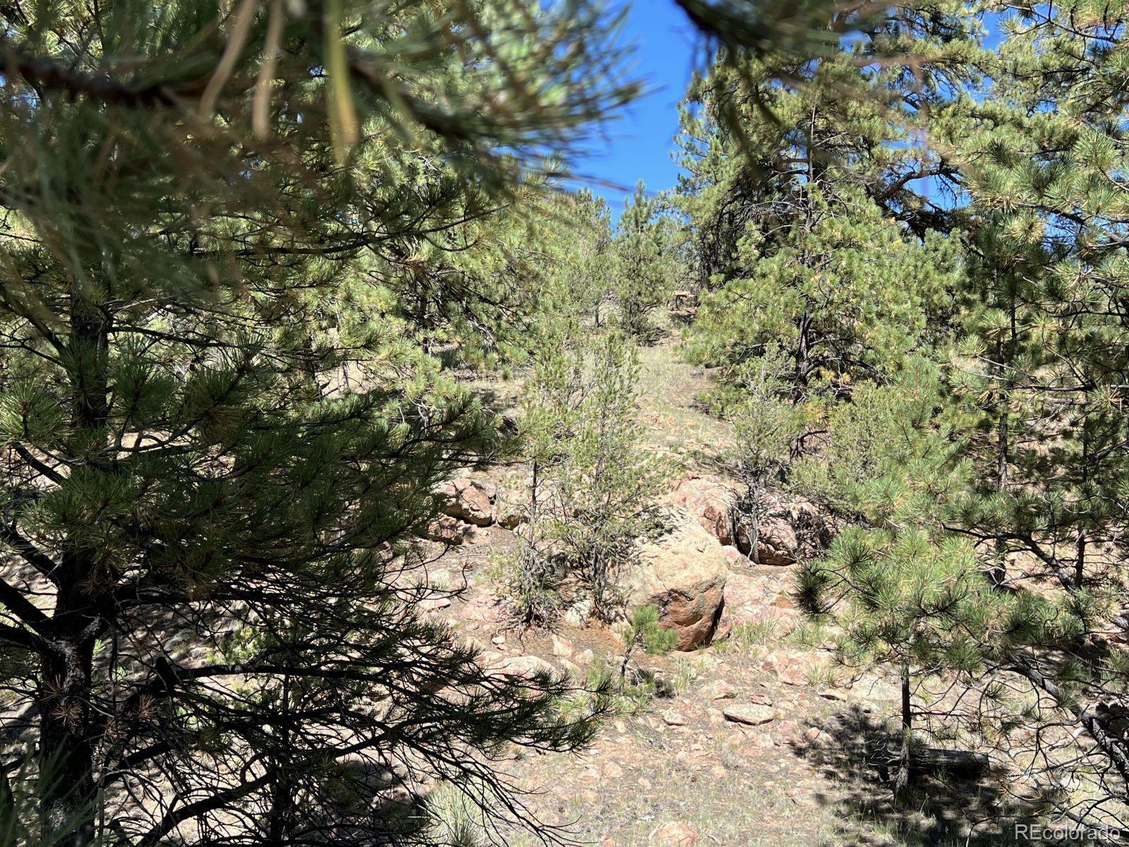 82 Kiowa Circle Westcliffe CO 81252
