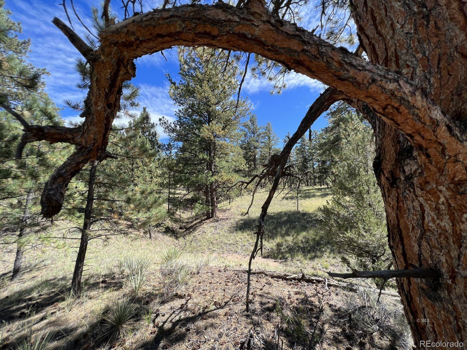82 Kiowa Circle Westcliffe CO 81252