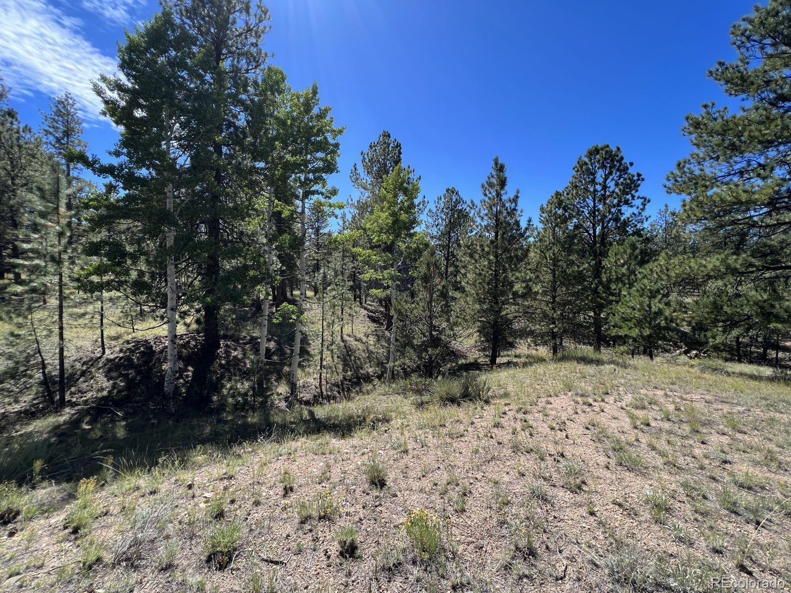82 Kiowa Circle Westcliffe CO 81252