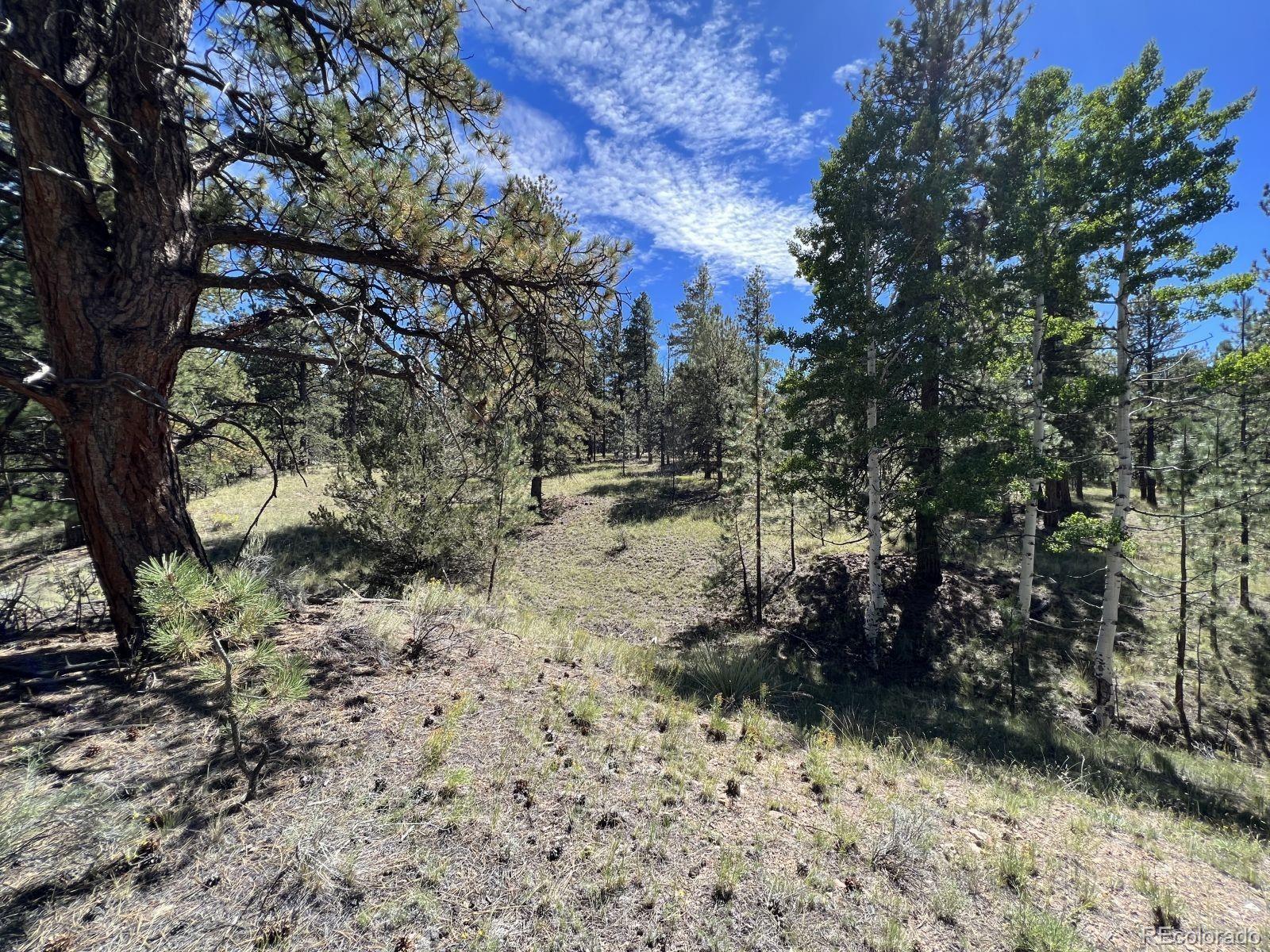 82 Kiowa Circle Westcliffe CO 81252