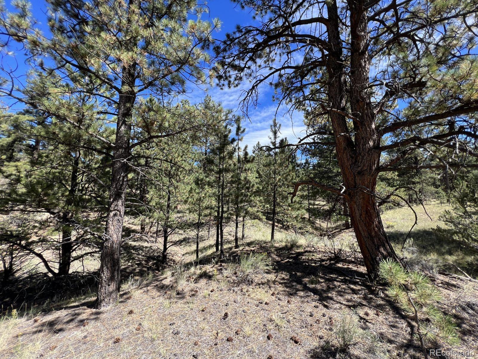 82 Kiowa Circle Westcliffe CO 81252