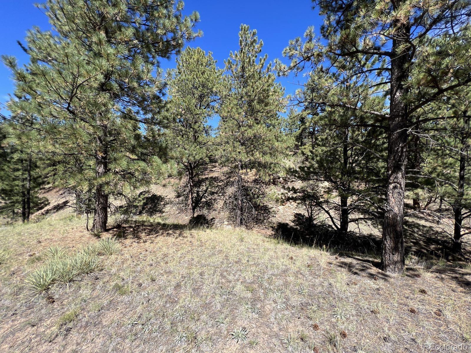 82 Kiowa Circle Westcliffe CO 81252