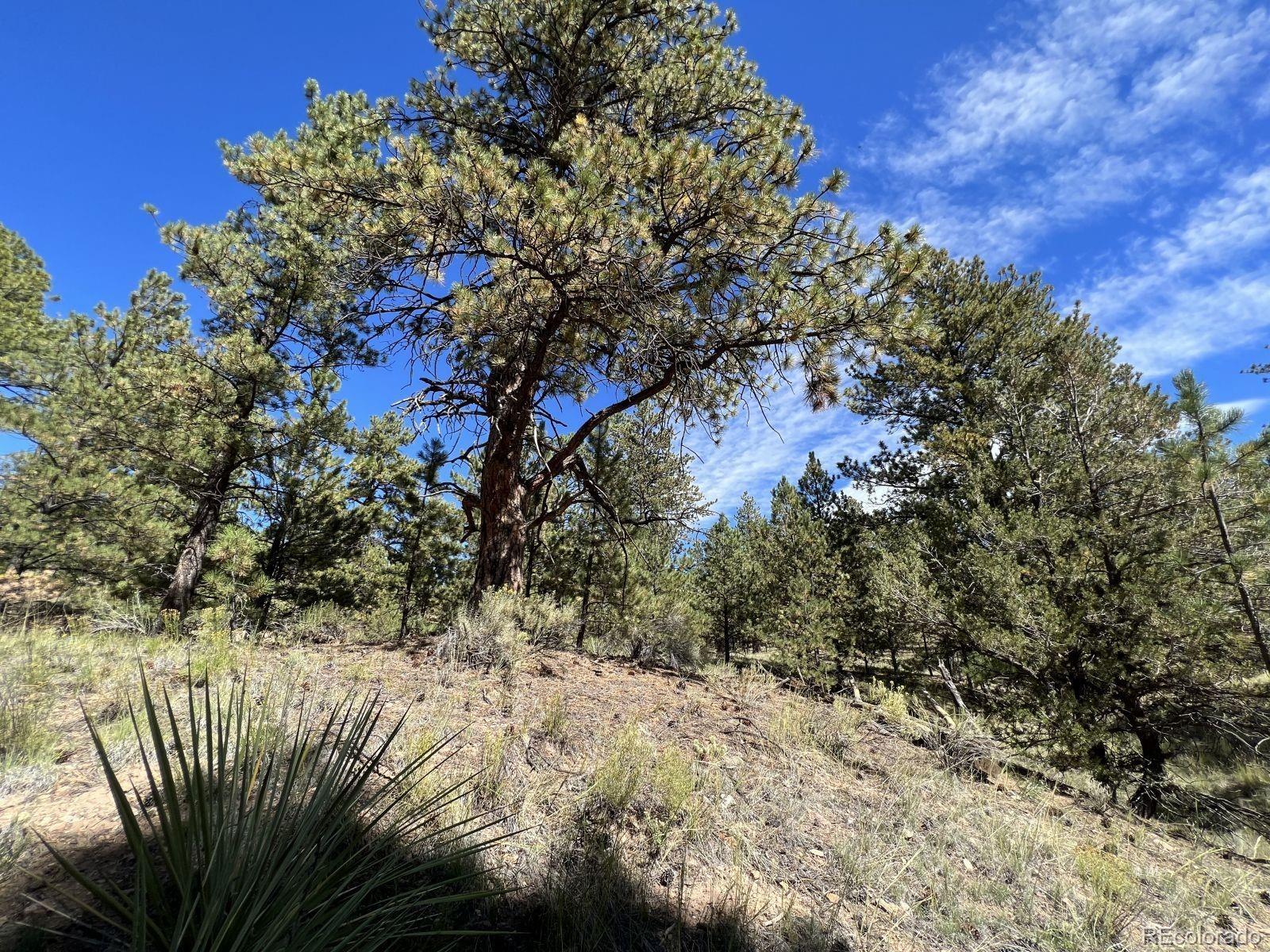 82 Kiowa Circle Westcliffe CO 81252