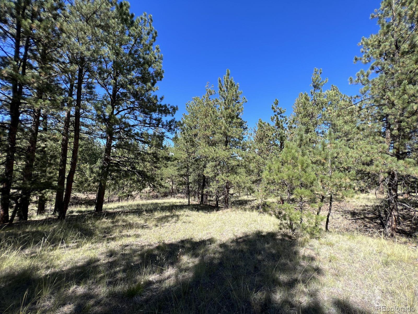 82 Kiowa Circle Westcliffe CO 81252
