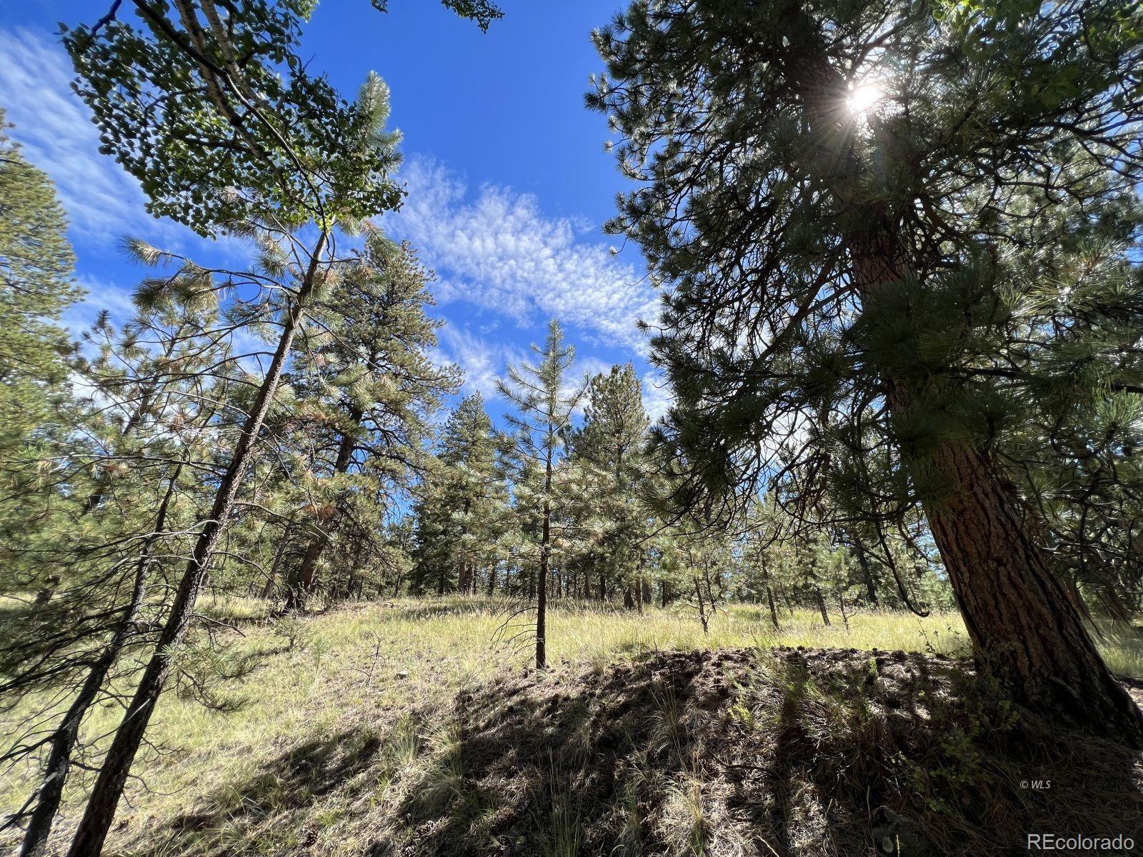 82 Kiowa Circle Westcliffe CO 81252