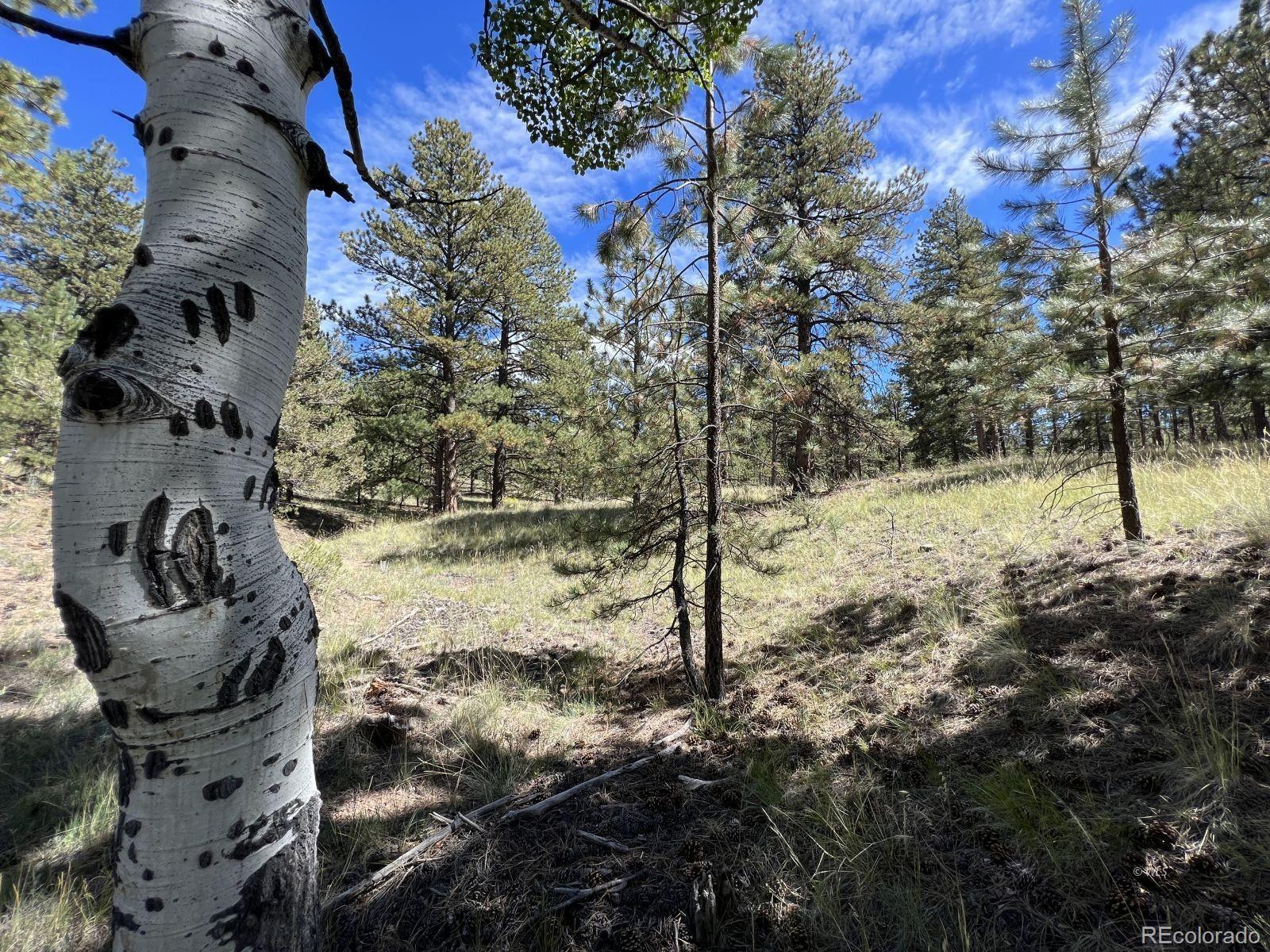 82 Kiowa Circle Westcliffe CO 81252