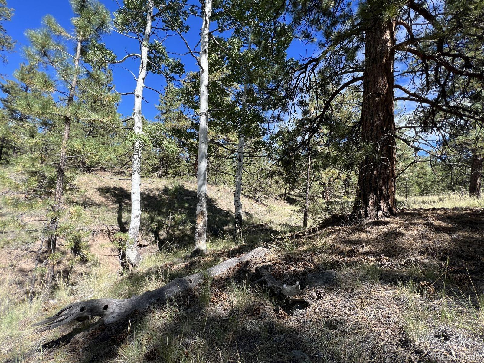 82 Kiowa Circle Westcliffe CO 81252