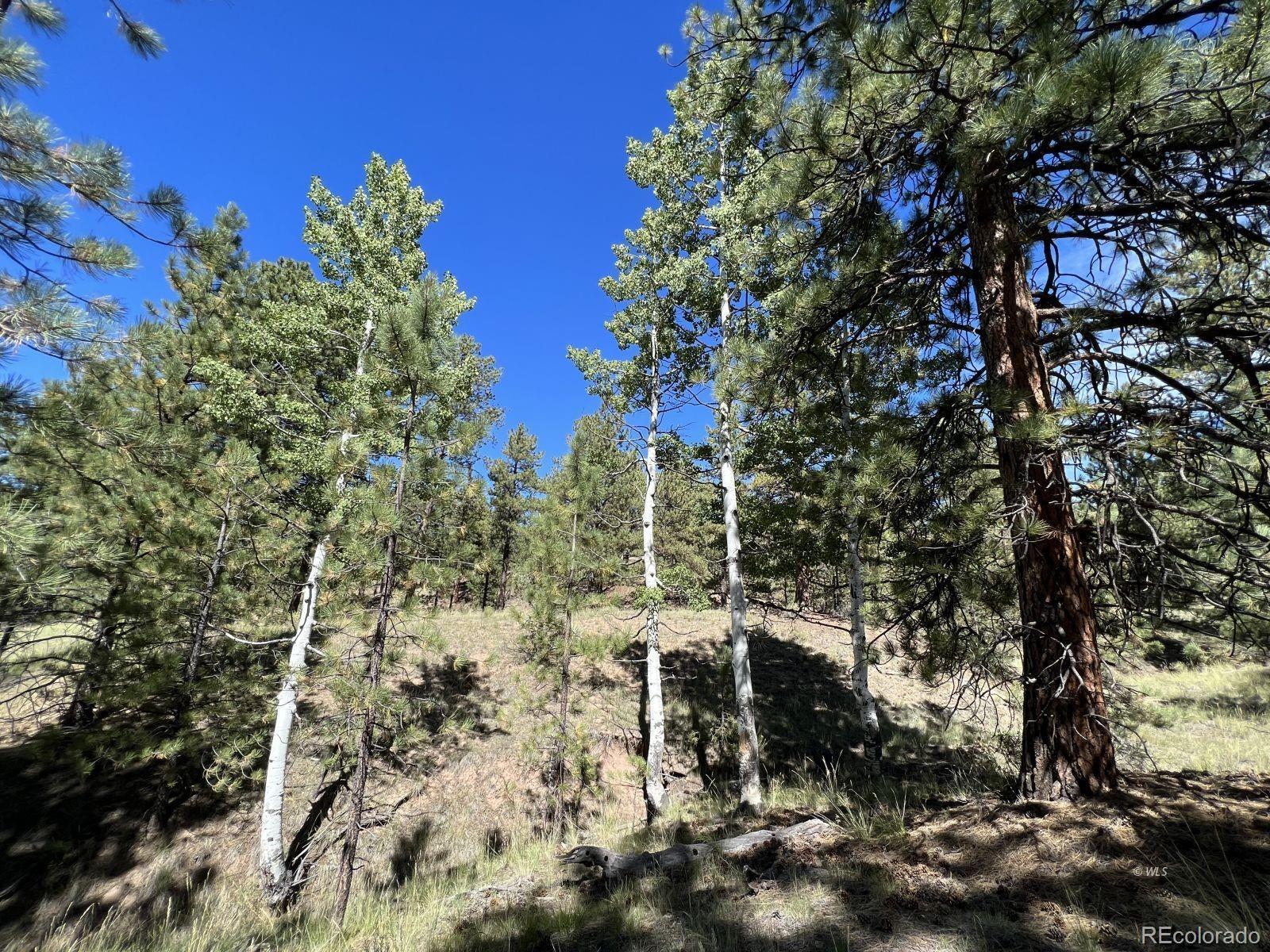 82 Kiowa Circle Westcliffe CO 81252