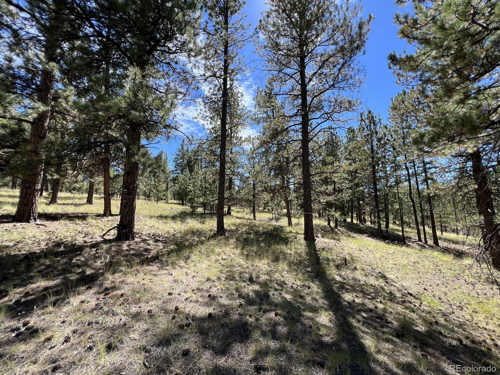 82 Kiowa Circle Westcliffe CO 81252