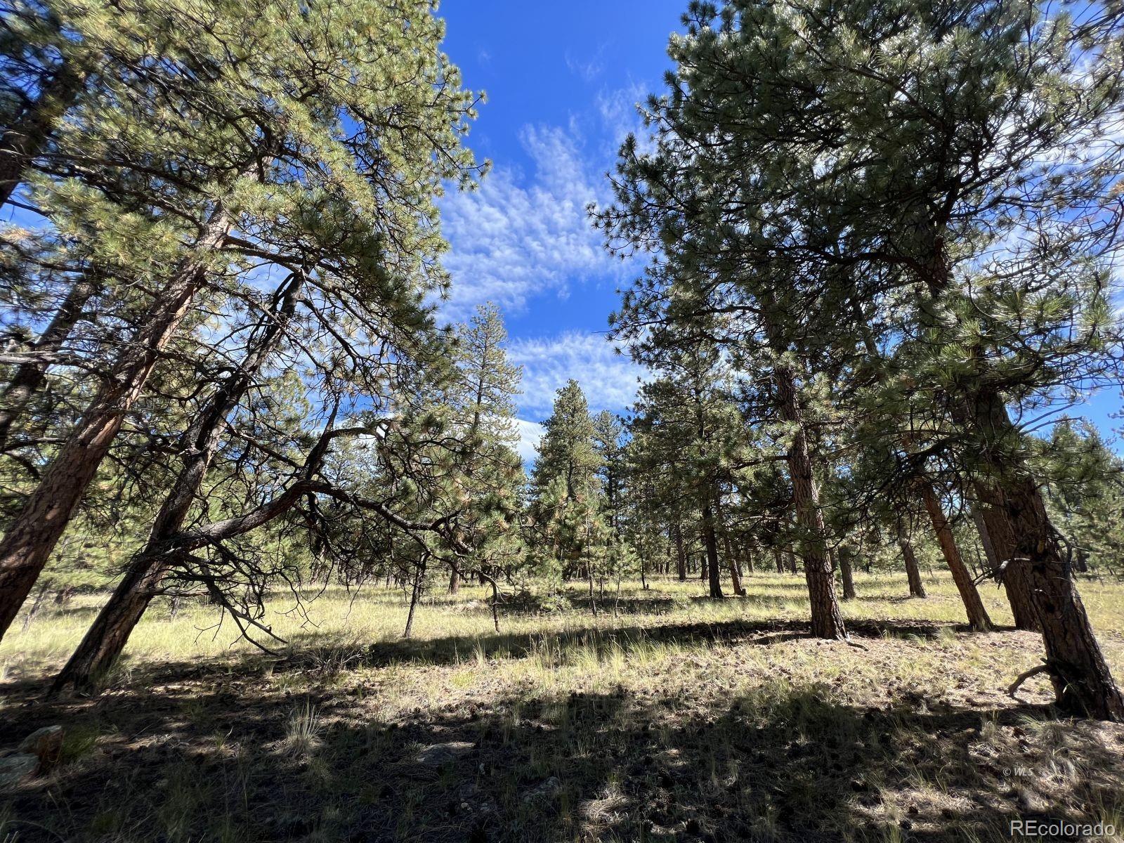 82 Kiowa Circle Westcliffe CO 81252