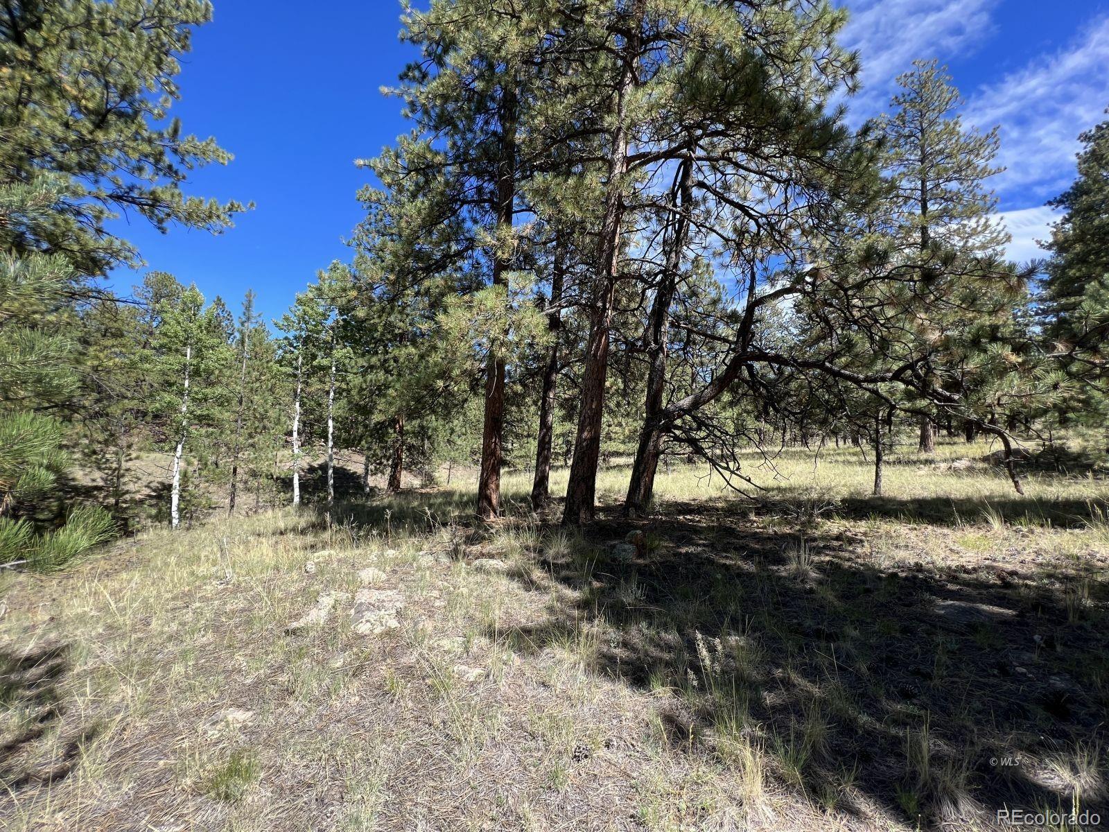 82 Kiowa Circle Westcliffe CO 81252