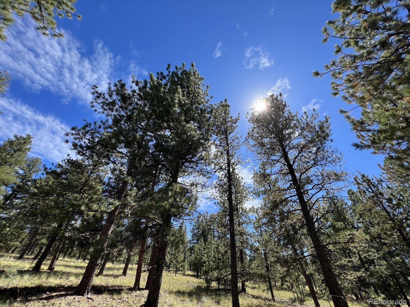 82 Kiowa Circle Westcliffe CO 81252