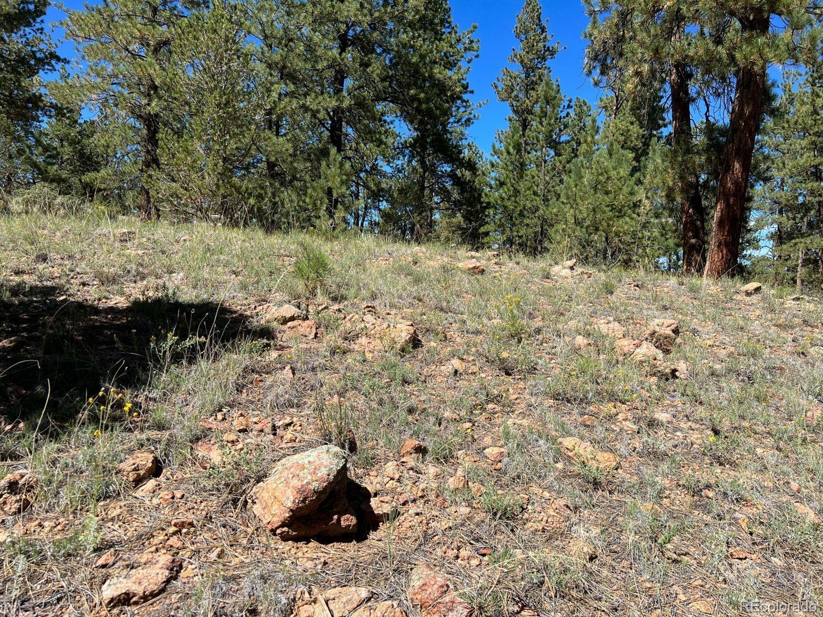 82 Kiowa Circle Westcliffe CO 81252