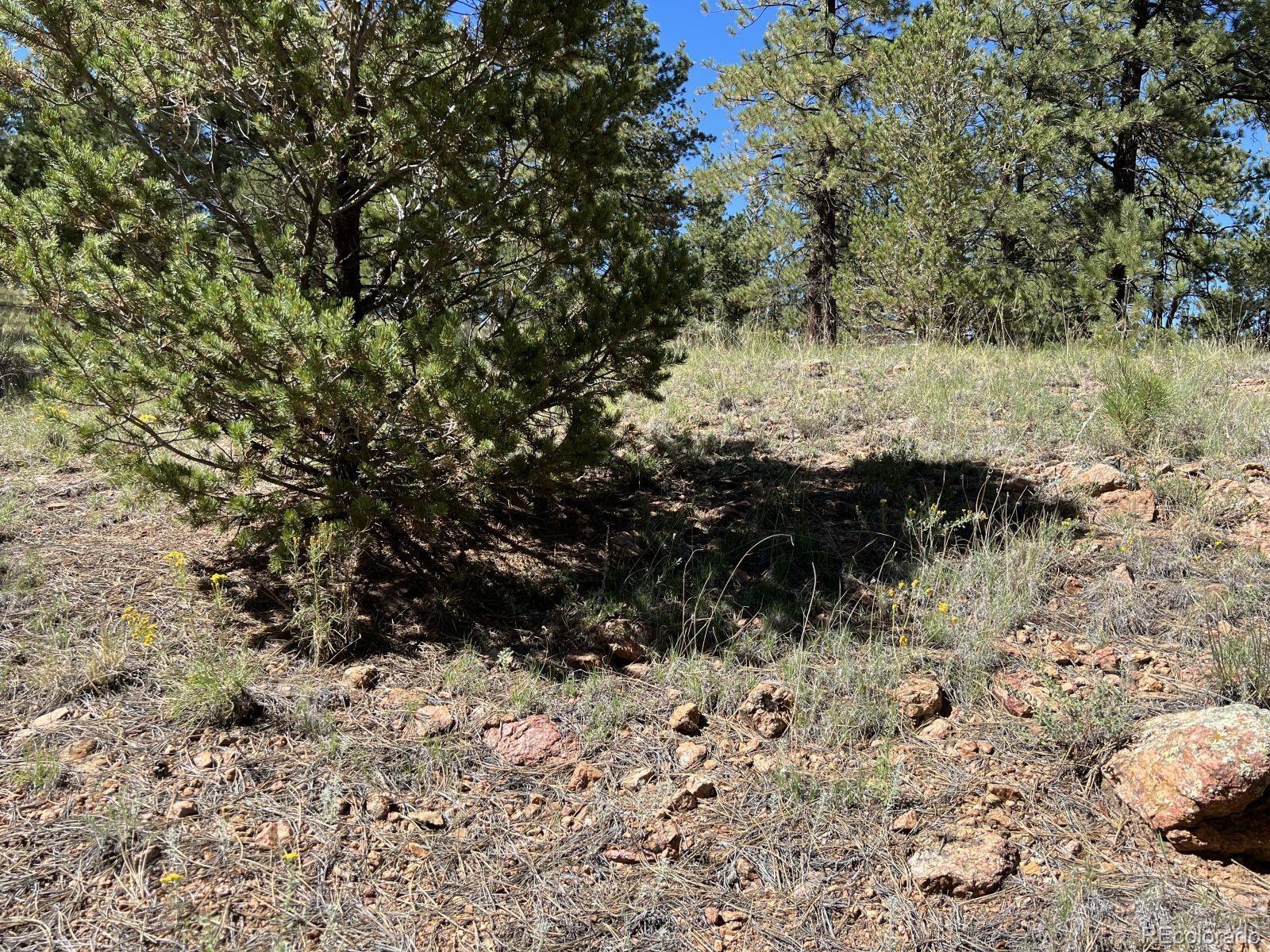 82 Kiowa Circle Westcliffe CO 81252