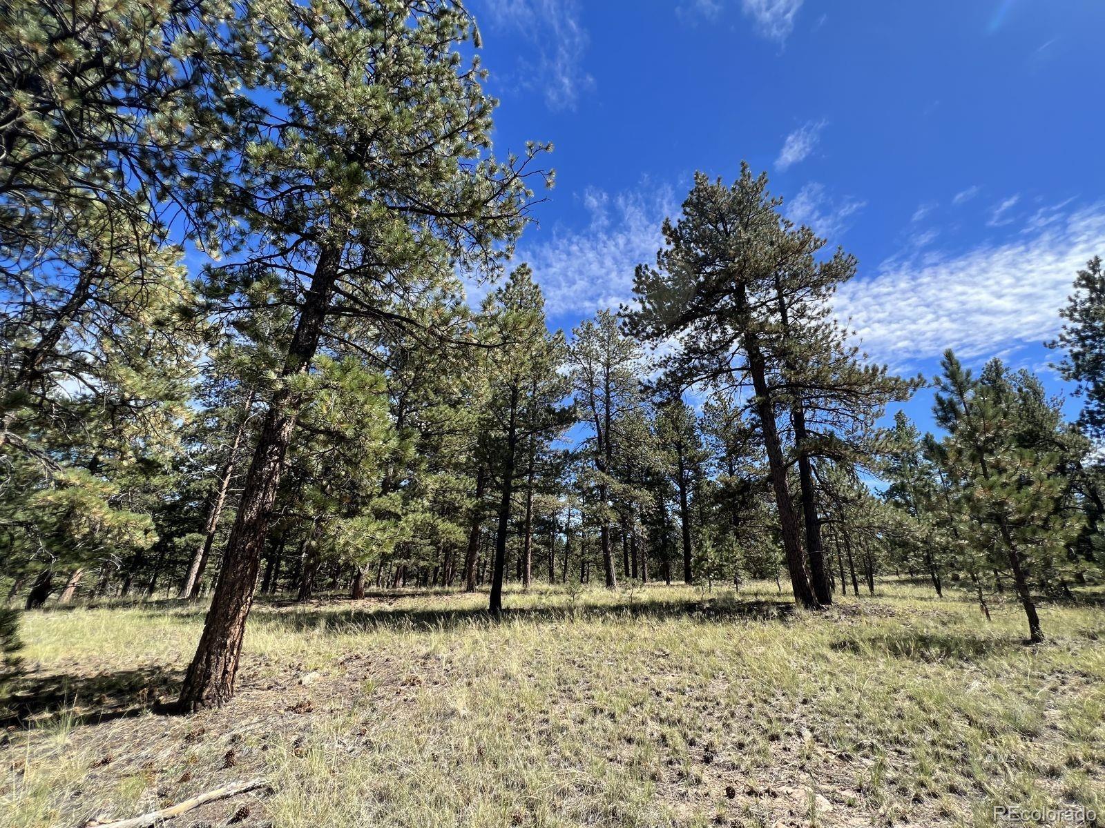 82 Kiowa Circle Westcliffe CO 81252