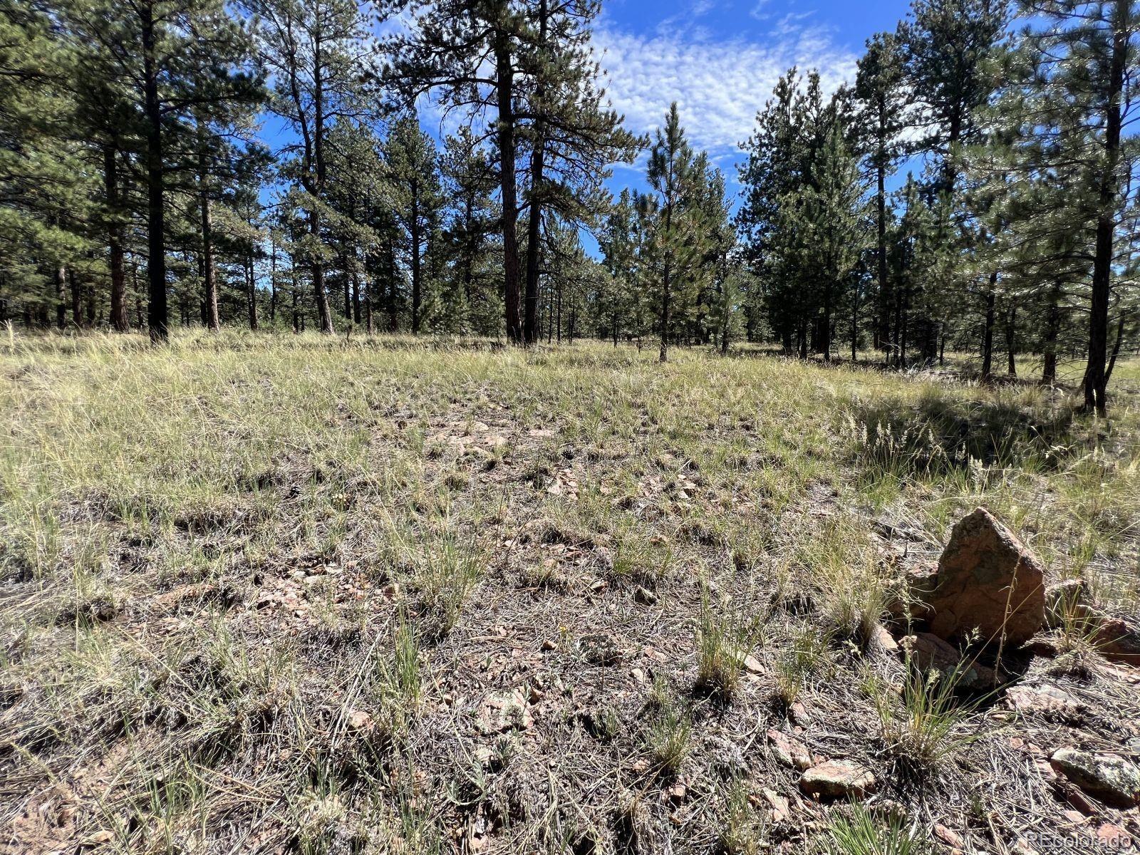 82 Kiowa Circle Westcliffe CO 81252