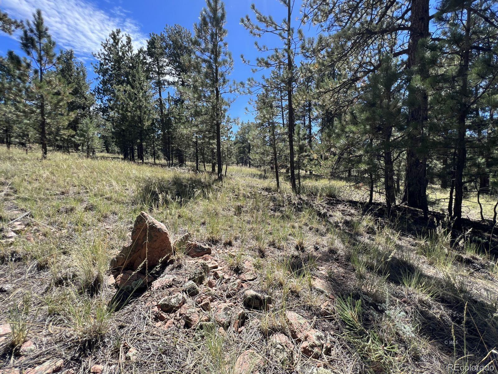 82 Kiowa Circle Westcliffe CO 81252