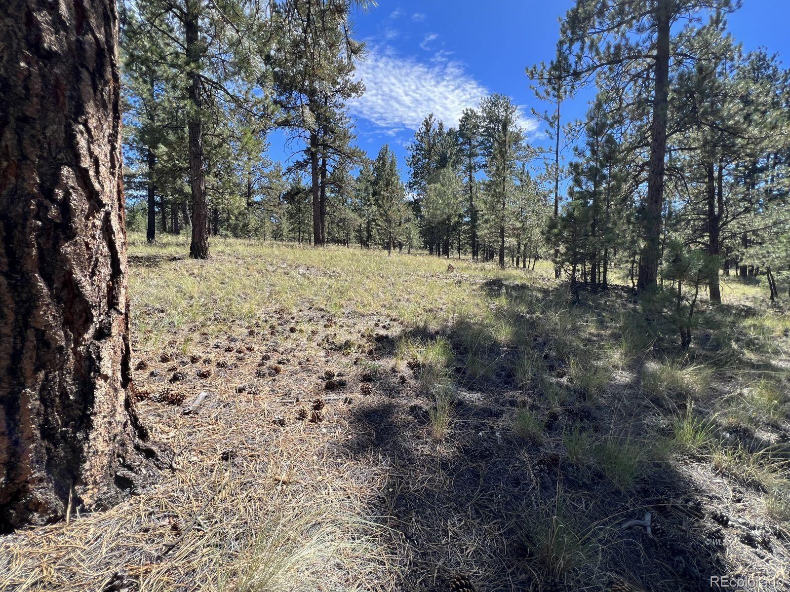82 Kiowa Circle Westcliffe CO 81252