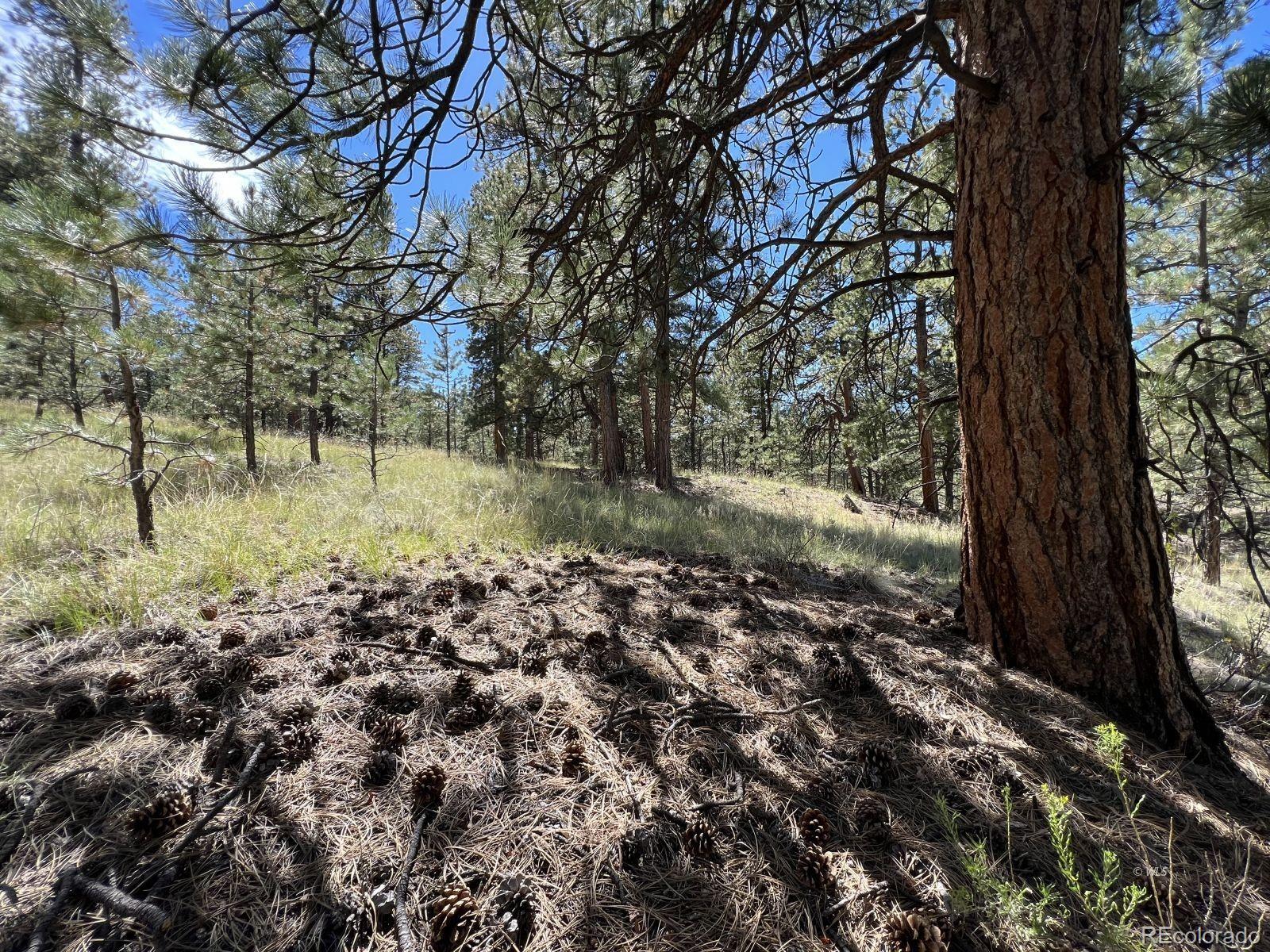 82 Kiowa Circle Westcliffe CO 81252