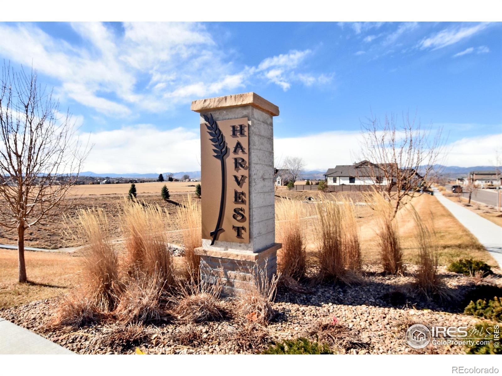 1244 Eliza Avenue Berthoud CO 80513