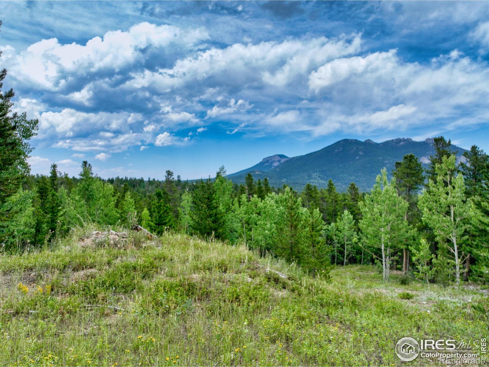 893 S Dory Lakes Drive Black Hawk CO 80422