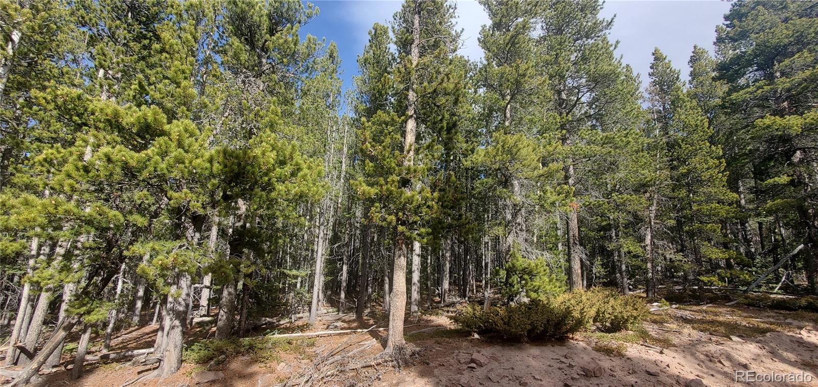 Lot 3246 Zipf Lane Fort Garland CO 81133