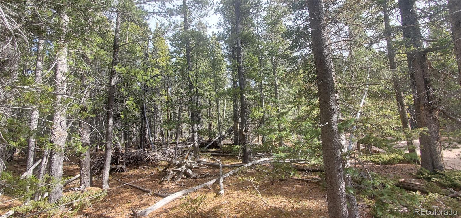 Lot 3246 Zipf Lane Fort Garland CO 81133