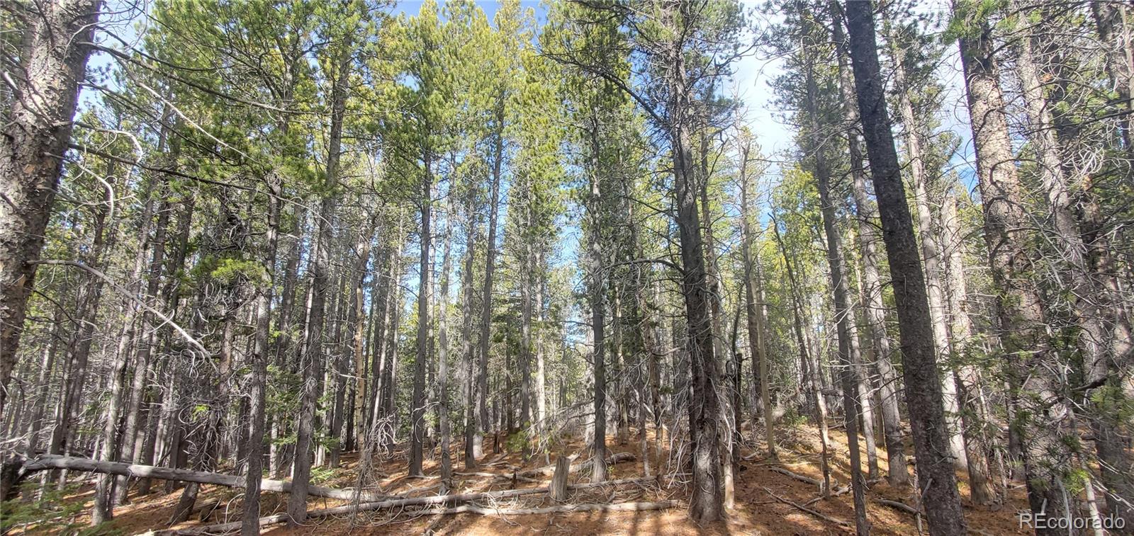 Lot 3246 Zipf Lane Fort Garland CO 81133